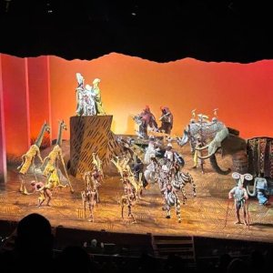 16 König der Löwen.jpg