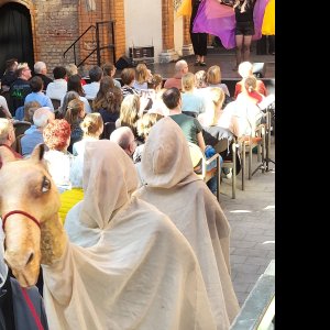 Musical-Show 3.jpg