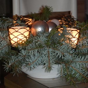 dscn7766_bildgroesse_aendern.jpg