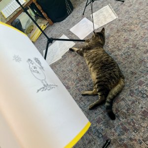 img_3839.jpeg