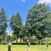 img_3905.jpeg