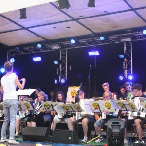 stadtfestmw14.jpg